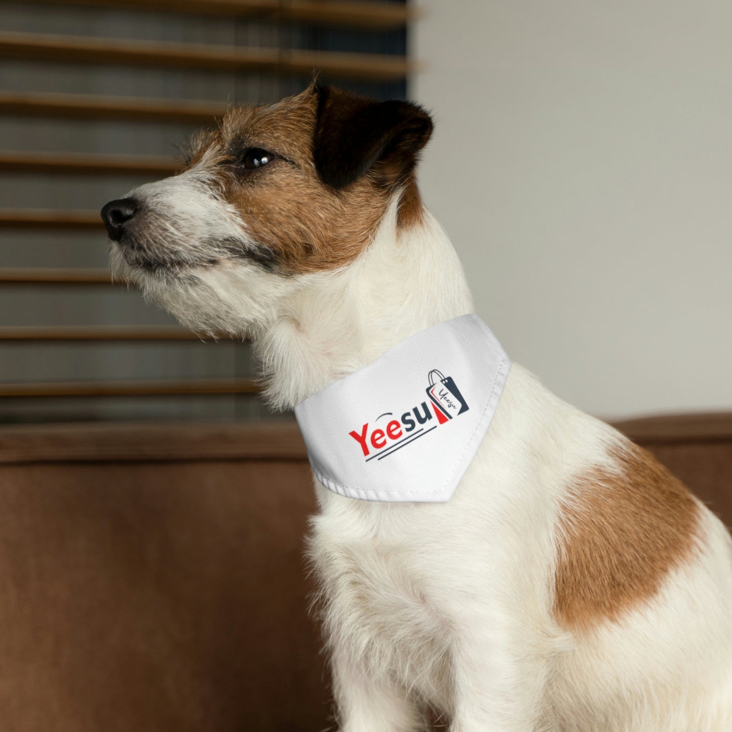 Pet Bandana Collar