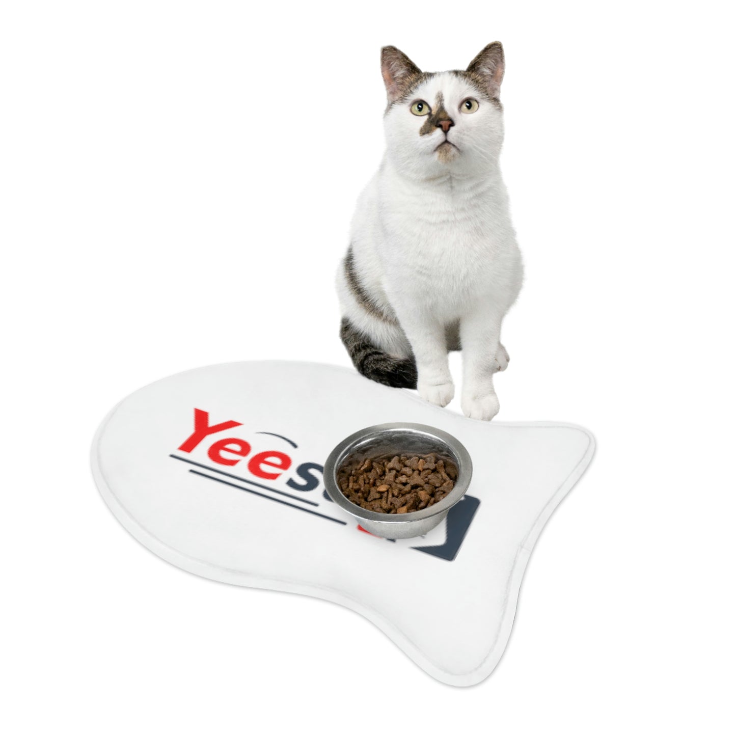 Pet Feeding Mats