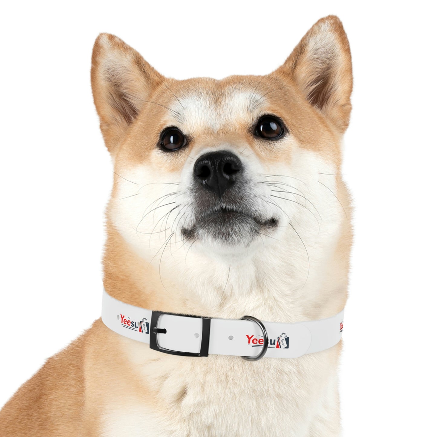 Dog Collar