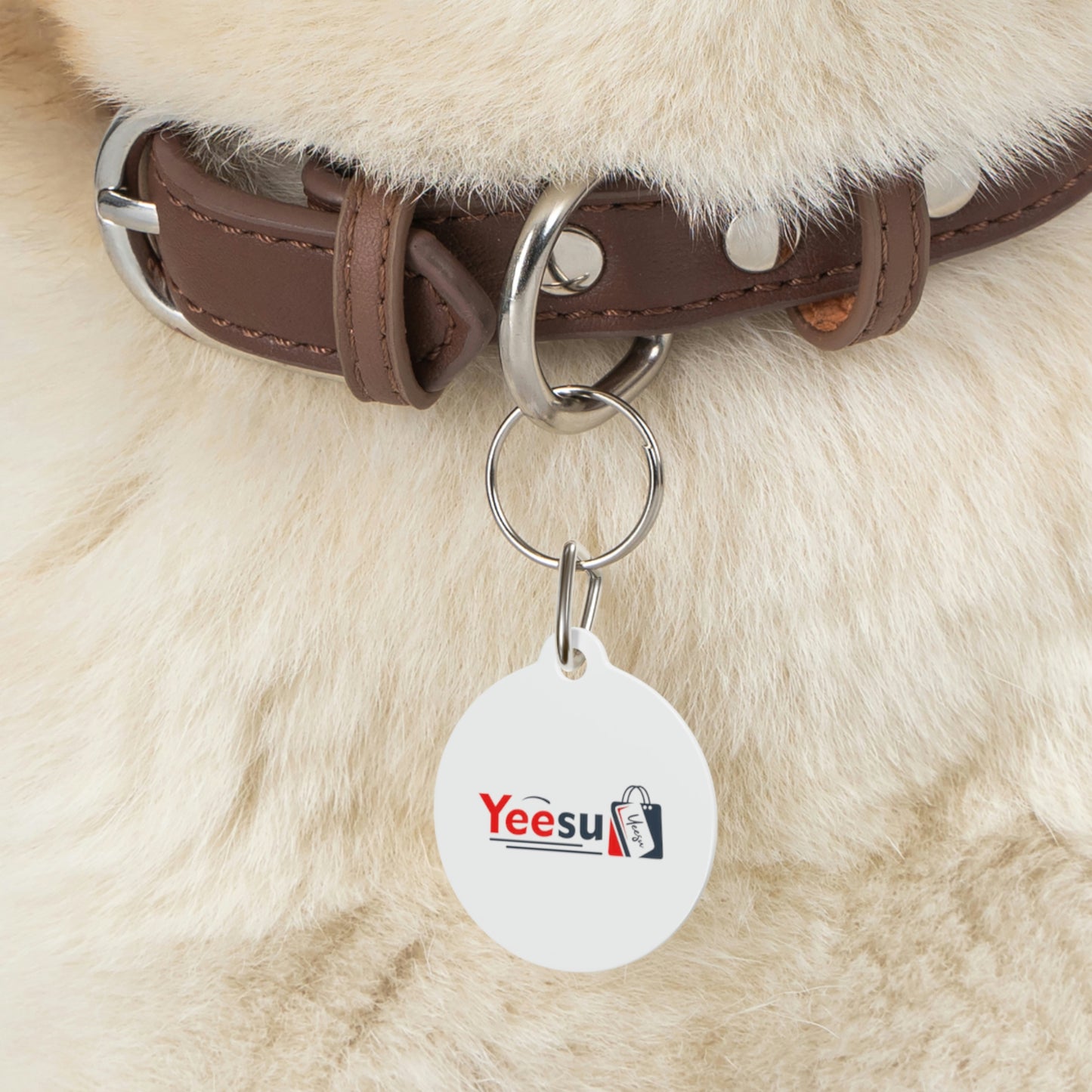 Pet Tag