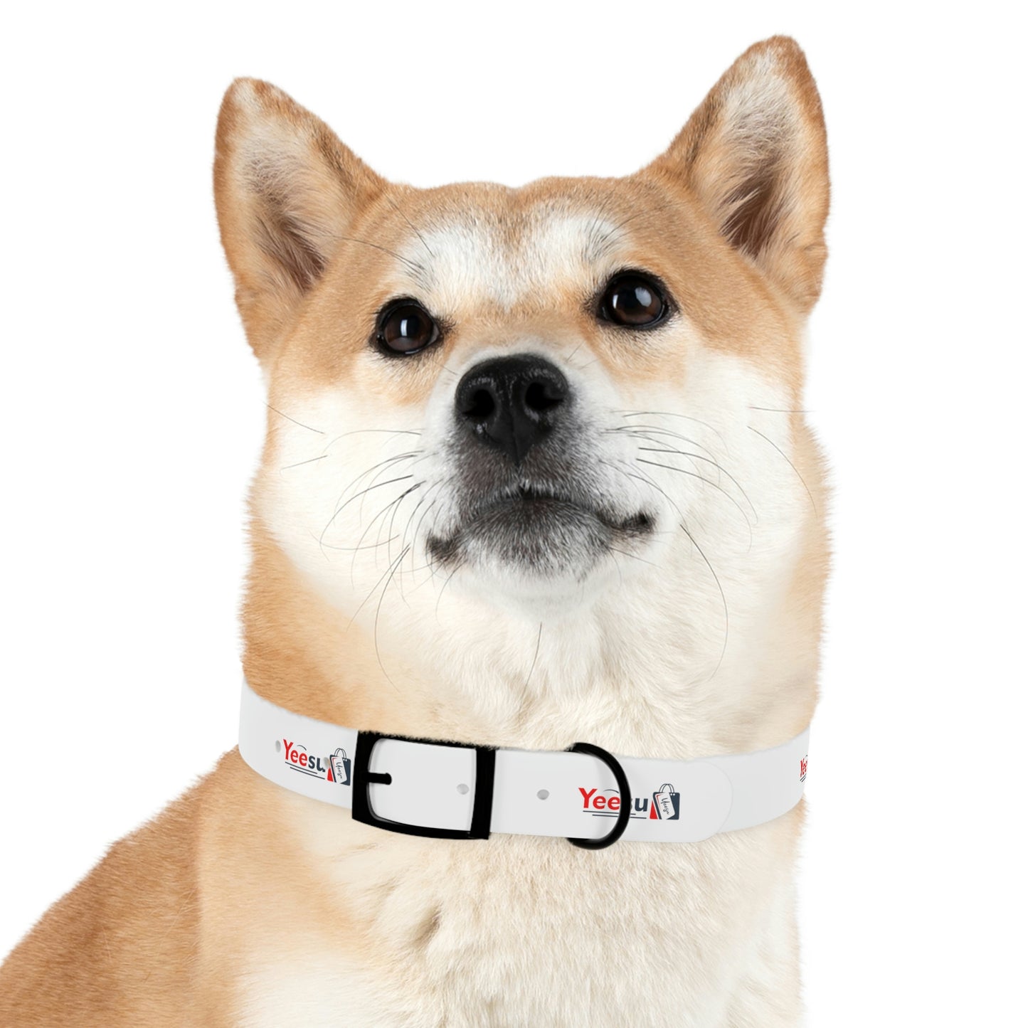 Dog Collar